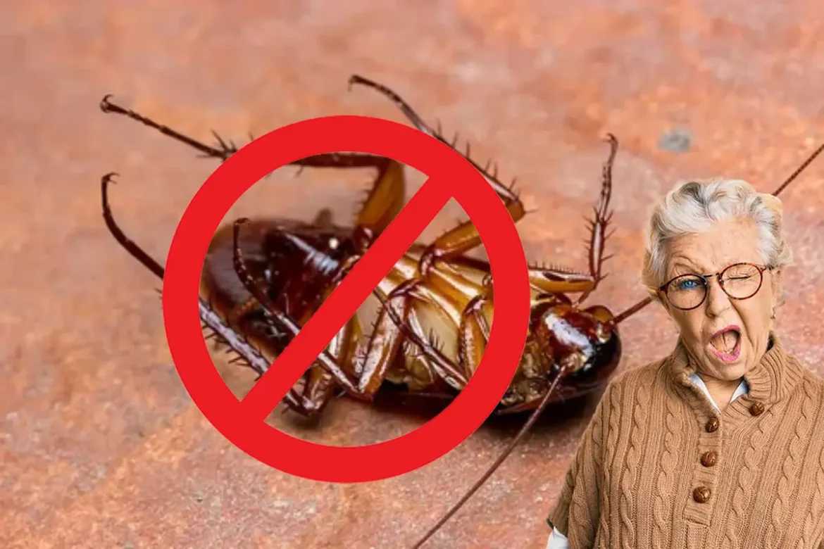 Egy kanál szódabikarbóna és hagyma Örökre búcsúzz el a csótányoktól!